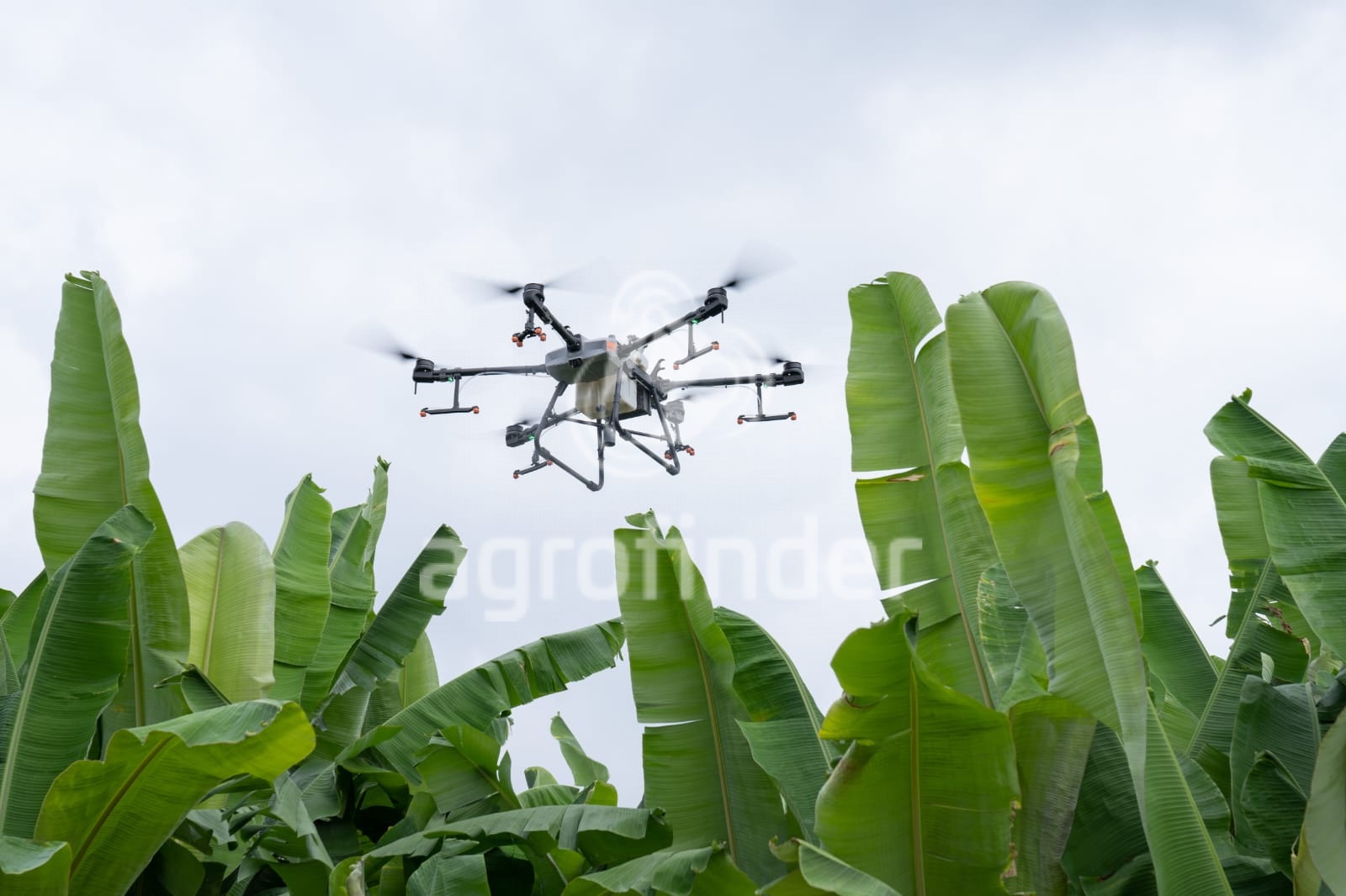 Drone Agrícola DJI T30 ano 2025 - T30 - Máquinas Agrícolas