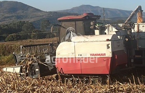 Colheitadeira Yanmar YH 880 ano 2022