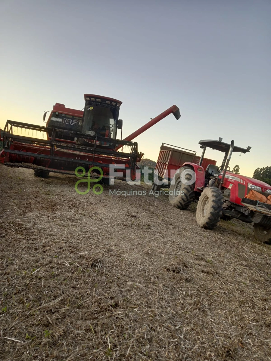 Colheitadeira Massey Ferguson MF 3640 ano 1990