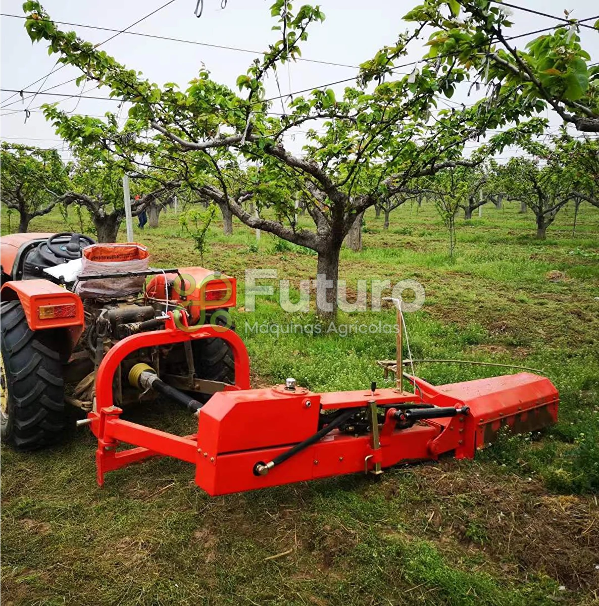 Outros implementos agrícolas Outro OUTRO ano 2024