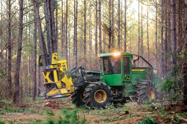 Feller Buncher John Deere 643L ano 2025