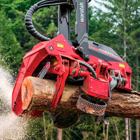 Cabeçote Florestal Waratah H624C