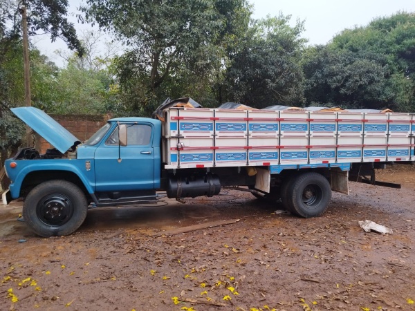 Caminhão Chevrolet D60 ano 1981