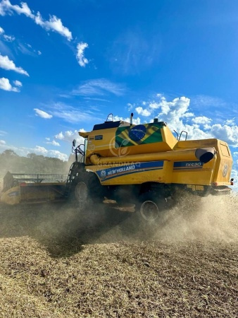 Colheitadeira New Holland TX4.90 ano 2021