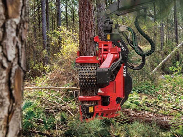 Cabeçote Florestal Waratah H219 ano 2025