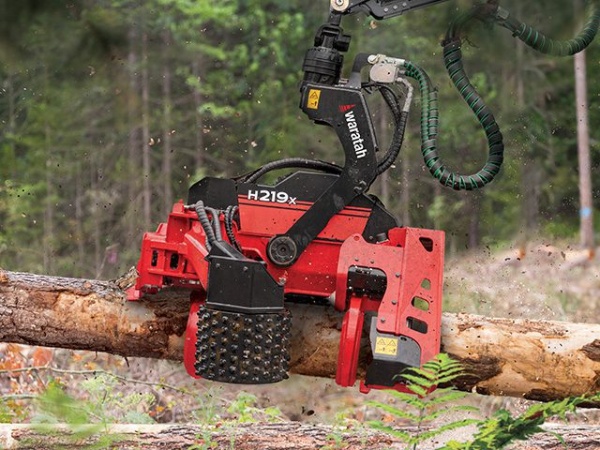 Cabeçote Florestal Waratah H219X ano 2025