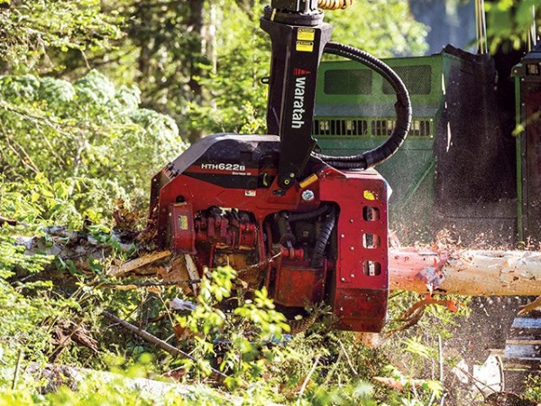 Cabeçote Florestal Waratah HTH622B-III ano 2025