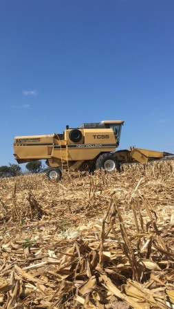 Colheitadeira New Holland TC 55 ano 1994
