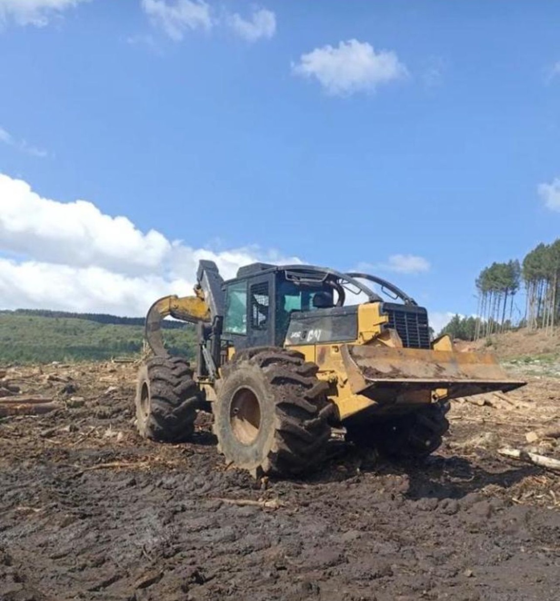 Skidder Caterpillar 545C ano 2012