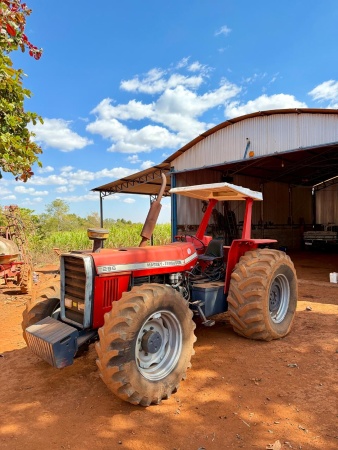 Trator Massey Ferguson 296 ano 1990