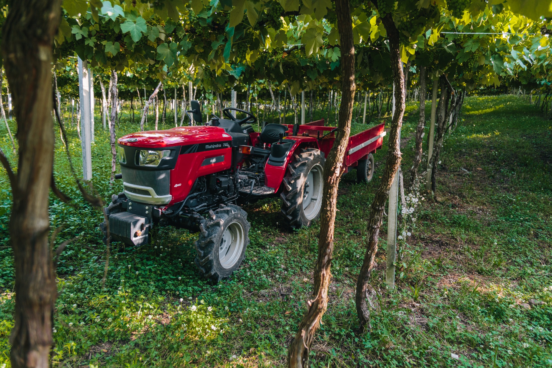 Trator Mahindra 2025 ano 2025