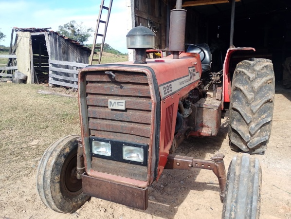 Trator Massey Ferguson 295 ano 1985