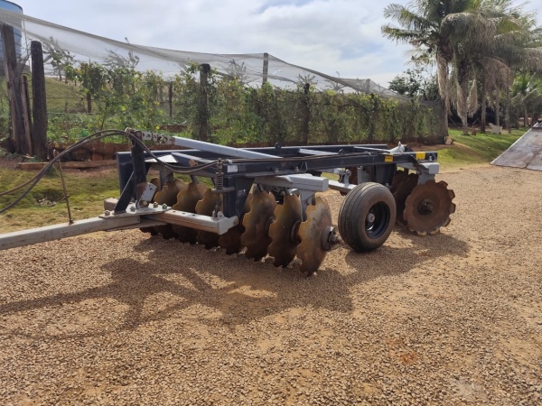 Grade Baldan Grade Aradora ano 2020