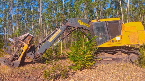 Feller Buncher Tigercat 845D ano 2017