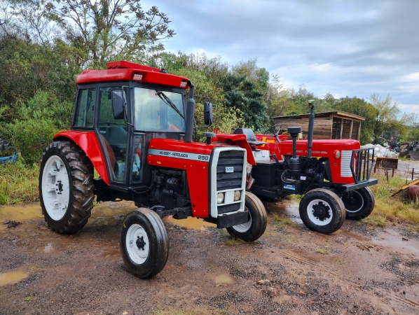 Trator Massey Ferguson MF 290 ano 1983
