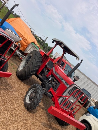 Trator Massey Ferguson MF 290 ano 1983