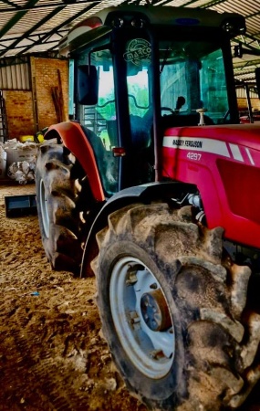 Trator Massey Ferguson MF 4297/4 ano 2010