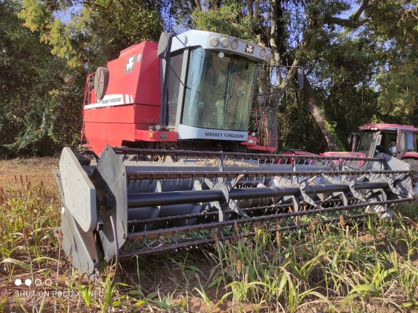 Colheitadeira Massey Ferguson MF32 ano 2011