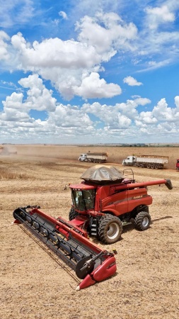 Colheitadeira Case Axial – Flow 7130 ano 2018