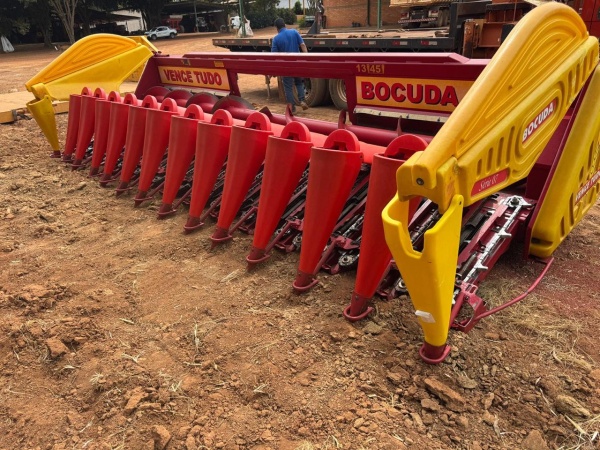 Plataforma Vence Tudo Bocuda ano 2019