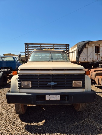 Caminhão Chevrolet D12000 ano 1988