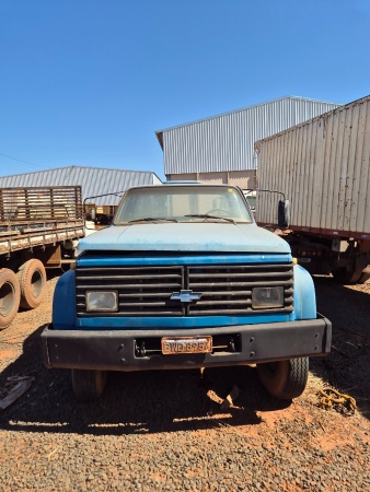 Caminhão Chevrolet D 11000 ano 1987