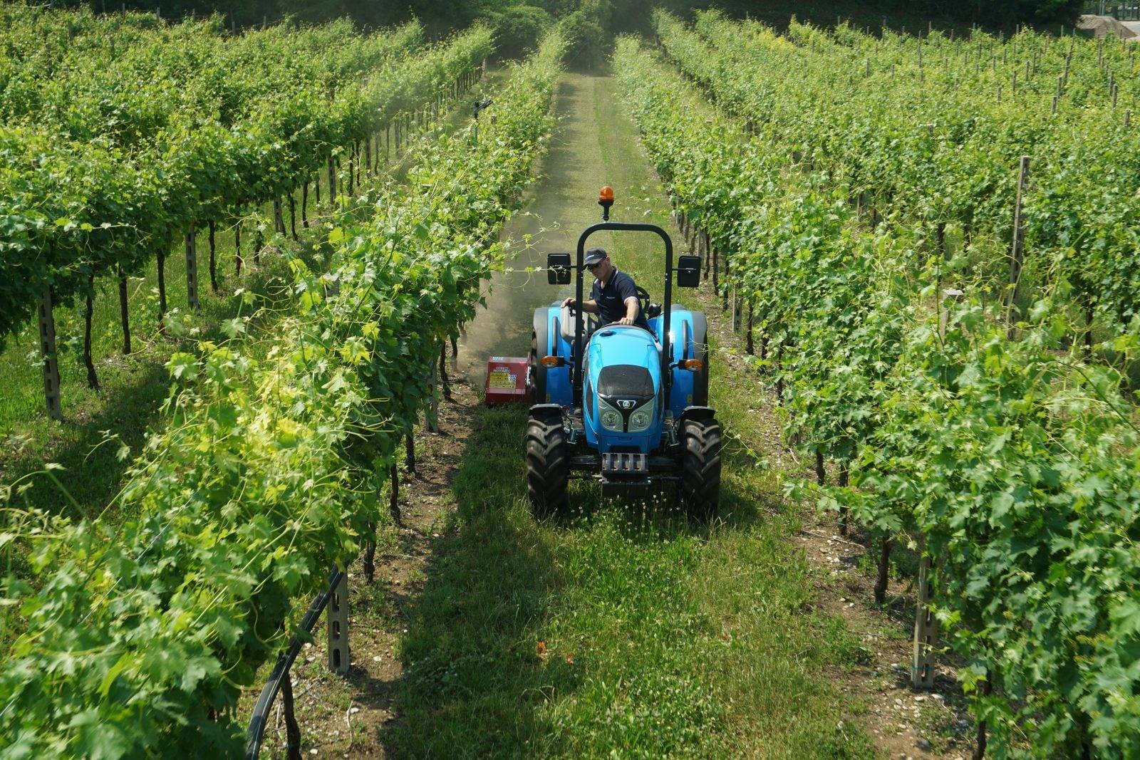 Trator Landini SERIE 2-60 PLATAFORMADO