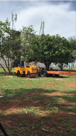 Rolo Compactador STONE WP3100 ano 2008