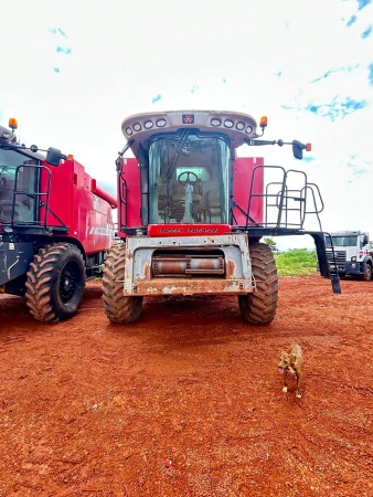 Colheitadeira Massey Ferguson MF 9690 ano 2011