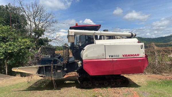Colheitadeira Yanmar YH 880 ano 2023