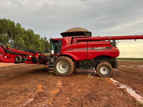 Colheitadeira Case IH Axial-Flow 7230 ano 2019 - AXIAL-FLOW 7230 - Máquinas Agrícolas