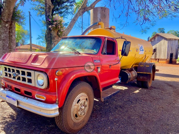 Caminhão Chevrolet D60 ano 1978