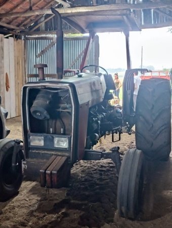 Trator Massey Ferguson MF 290 ano 1988