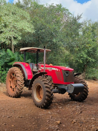 Trator Massey Ferguson MF 4291 ano 2012 - MF 4291 - Máquinas Agrícolas