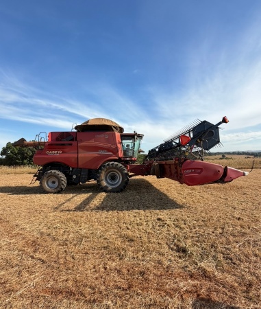 Colheitadeira Case IH Axial-Flow 7250 ano 2022