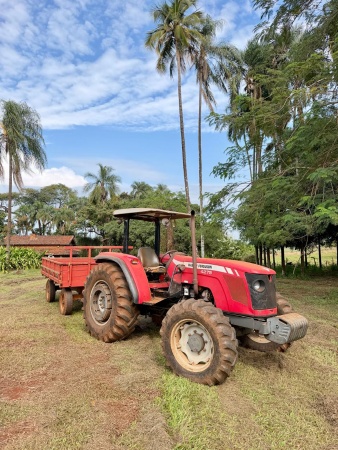 Trator Massey Ferguson MF 4275 ano 2010