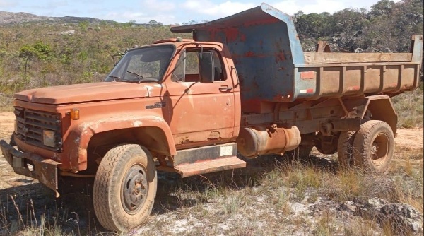 Caminhão Chevrolet D12000 ano 1988