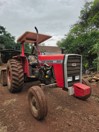 Trator Massey Ferguson MF 290 ano 1983