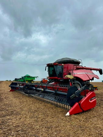 Colheitadeira Case IH Axial-Flow  8230 ano 2019