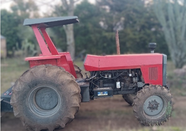 Trator Massey Ferguson 295 ano 1982 - 295 - Máquinas Agrícolas