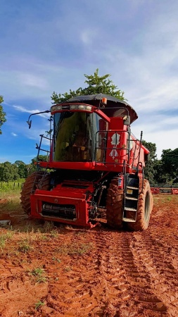Colheitadeira Case Axial-Flow 2799  ano 2010