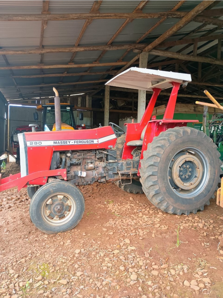 Trator Massey Ferguson MF 290 ano 1984