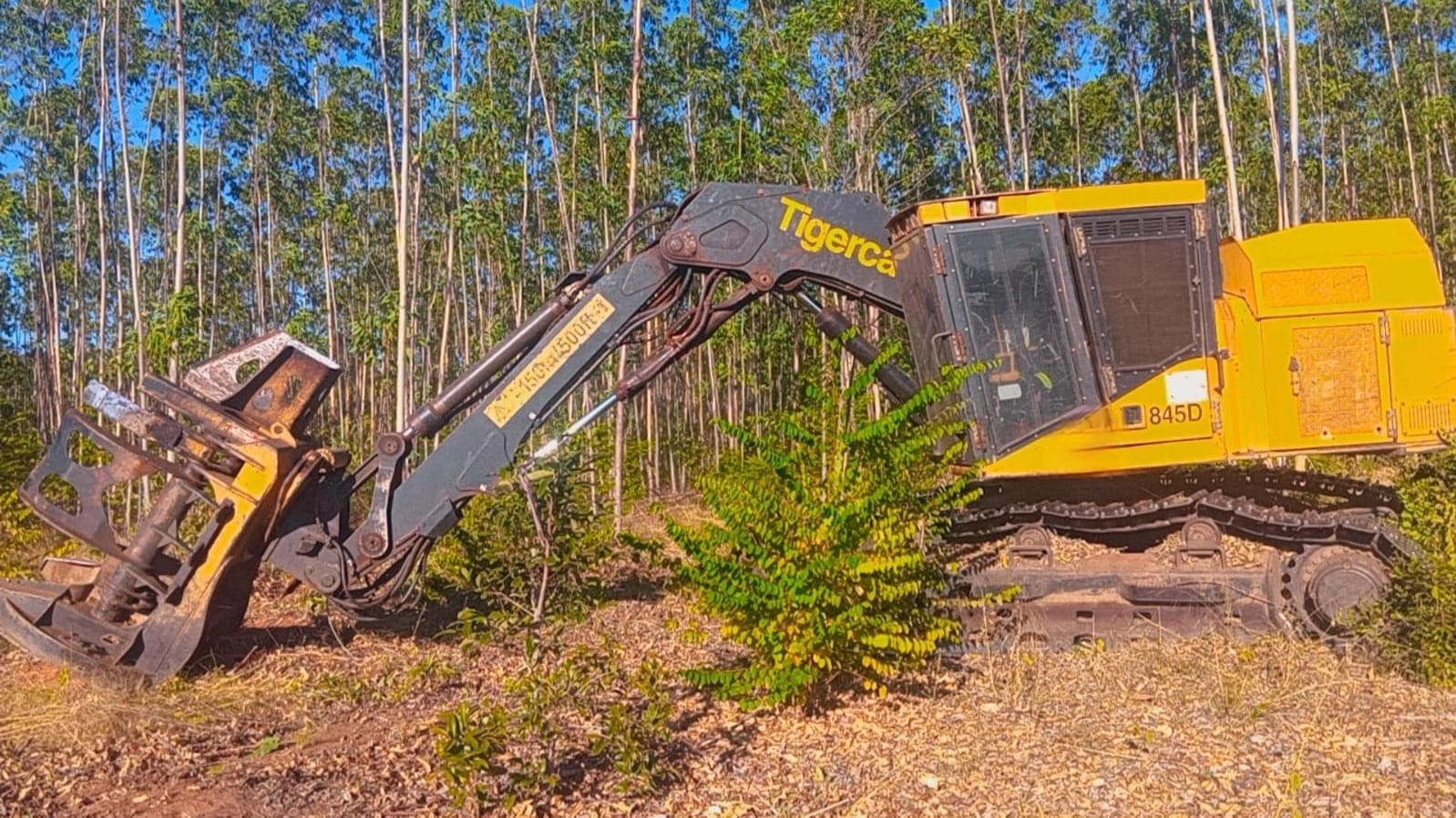 Feller Buncher Tigercat 860C ano 2017