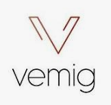 Vemig Caminhões